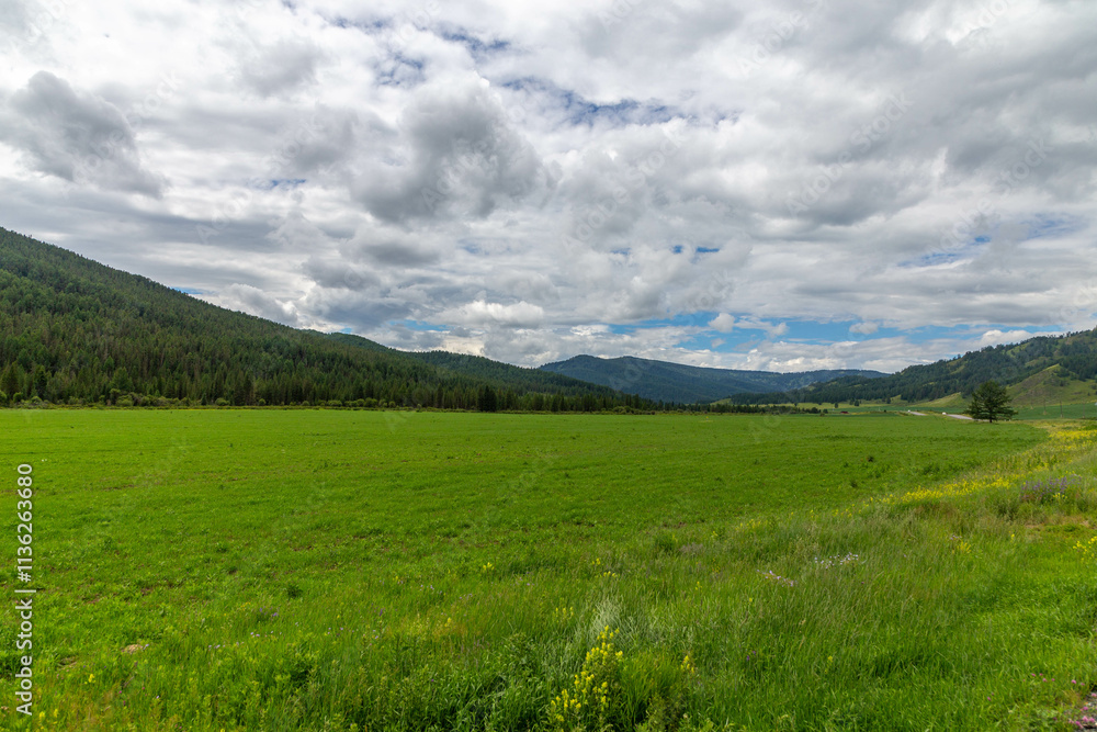 Beautiful landscape of the Altai mountains. Chuisky tract, Altai republic, Russia Beautiful landscape of the Altai mountains. Chuisky tract, Altai republic, Russia