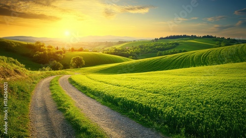 Serene Sunset Over Rolling Green Hills and Country Road