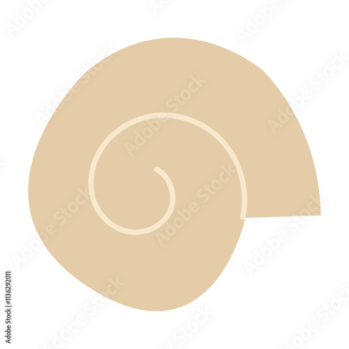 Spiral shell. Mollusk. Vector illustration.