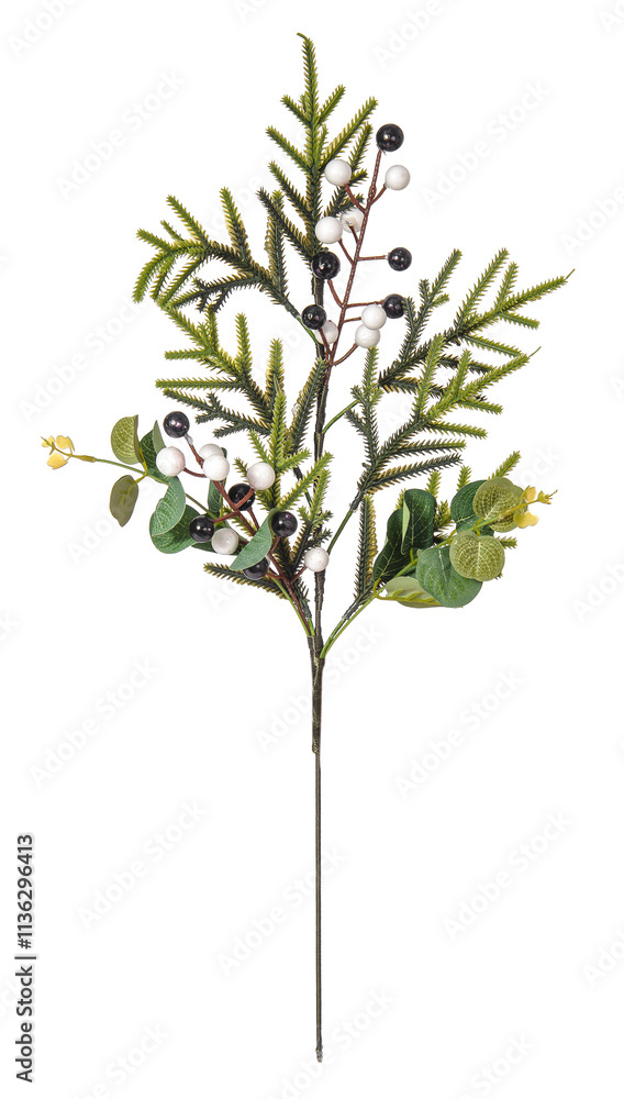 Fototapeta premium a twig for Christmas decoration