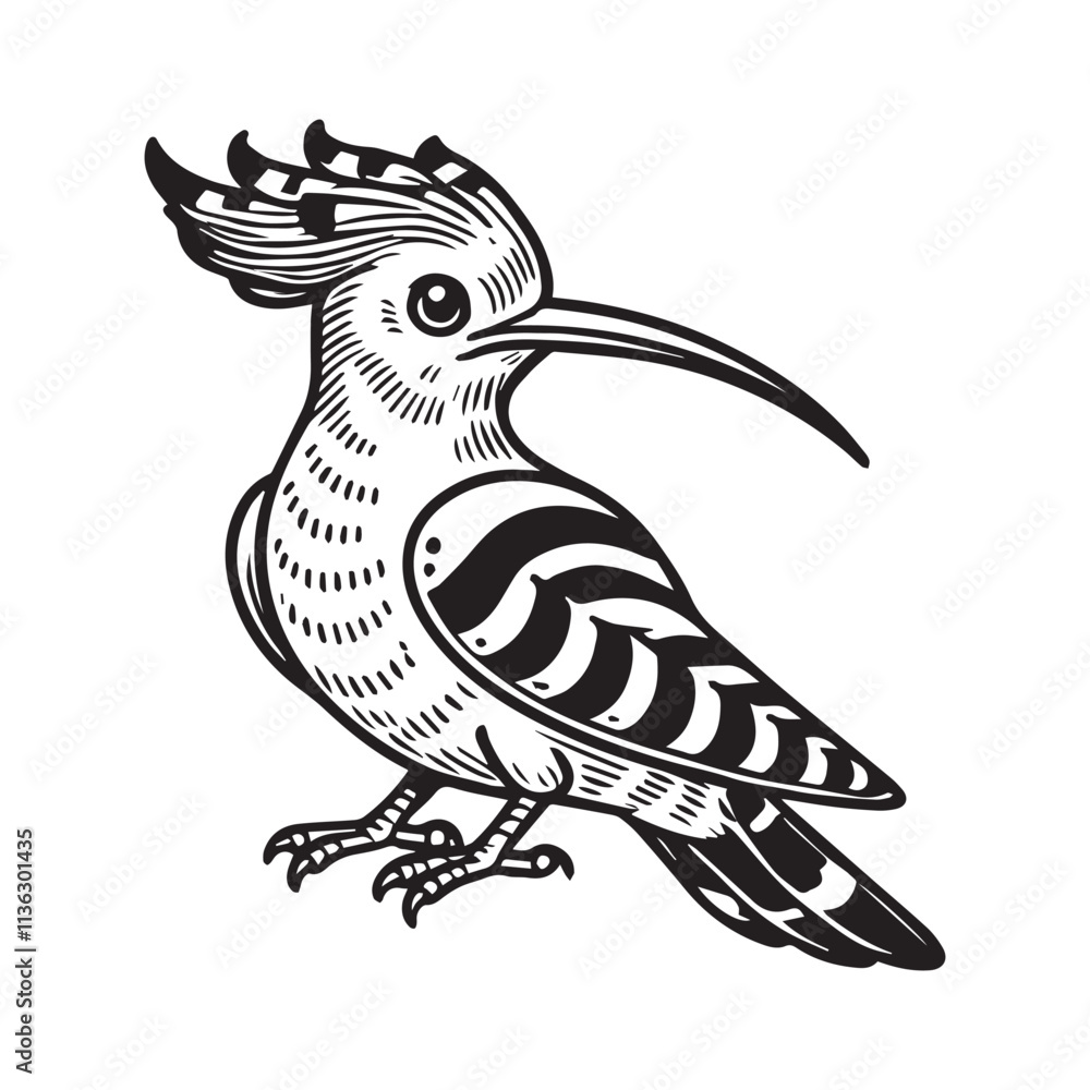 Obraz premium Hoopoe outline vector art black color white background.