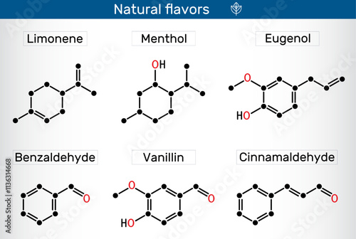 Natural flavors molecules. Chemical structures of limonene, menthol, eugenol, benzaldehyde, vanillin, and cinnamaldehyde. Vector i