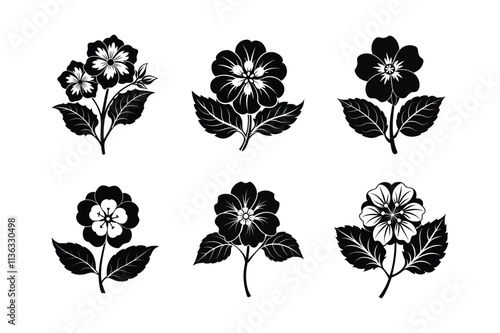 Japanese primrose flower silhouette vector illustration.