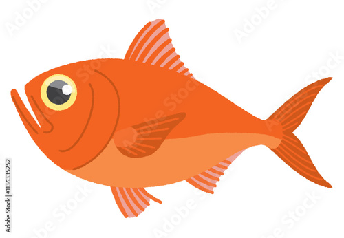 金目鯛のイラスト