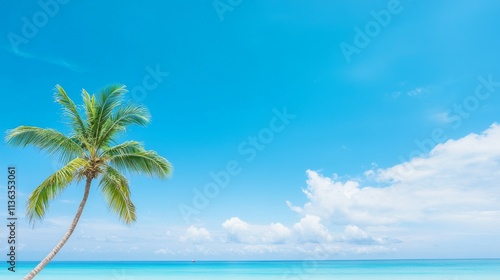 A serene beach scene featuring a palm tree and a clear blue sky over calm waters.