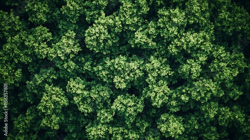 Lush green forest texture in a blurred style