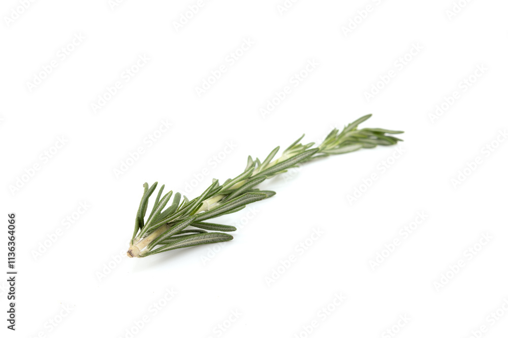 Fototapeta premium Fresh green thyme herb falling in the air isolates on white background