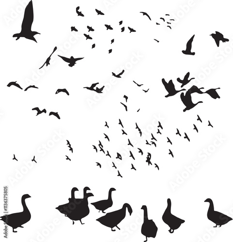 goose duck birds silhouette png