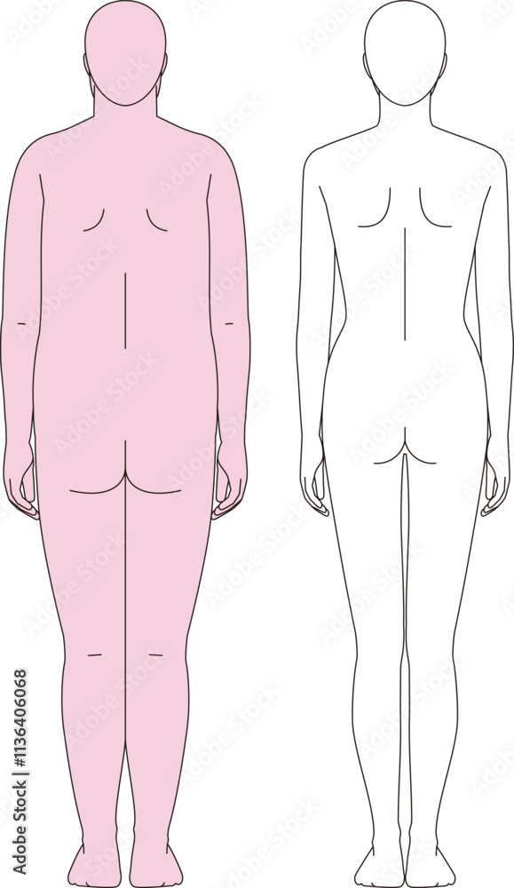 太った女性とスリムな女性. ダイエットのビフォーアフターの全身背面のイラスト 太った女性とスリムな女性. ダイエットのビフォーアフターの全身背面のイラスト
