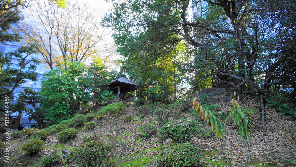 秋の小石川後楽園