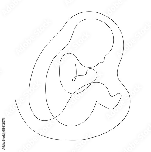 Continuous line drawing of baby, baby in the womb line vector