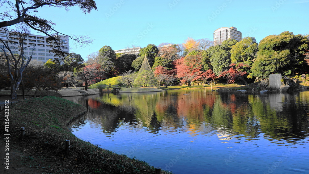 Fototapeta premium 秋の小石川後楽園