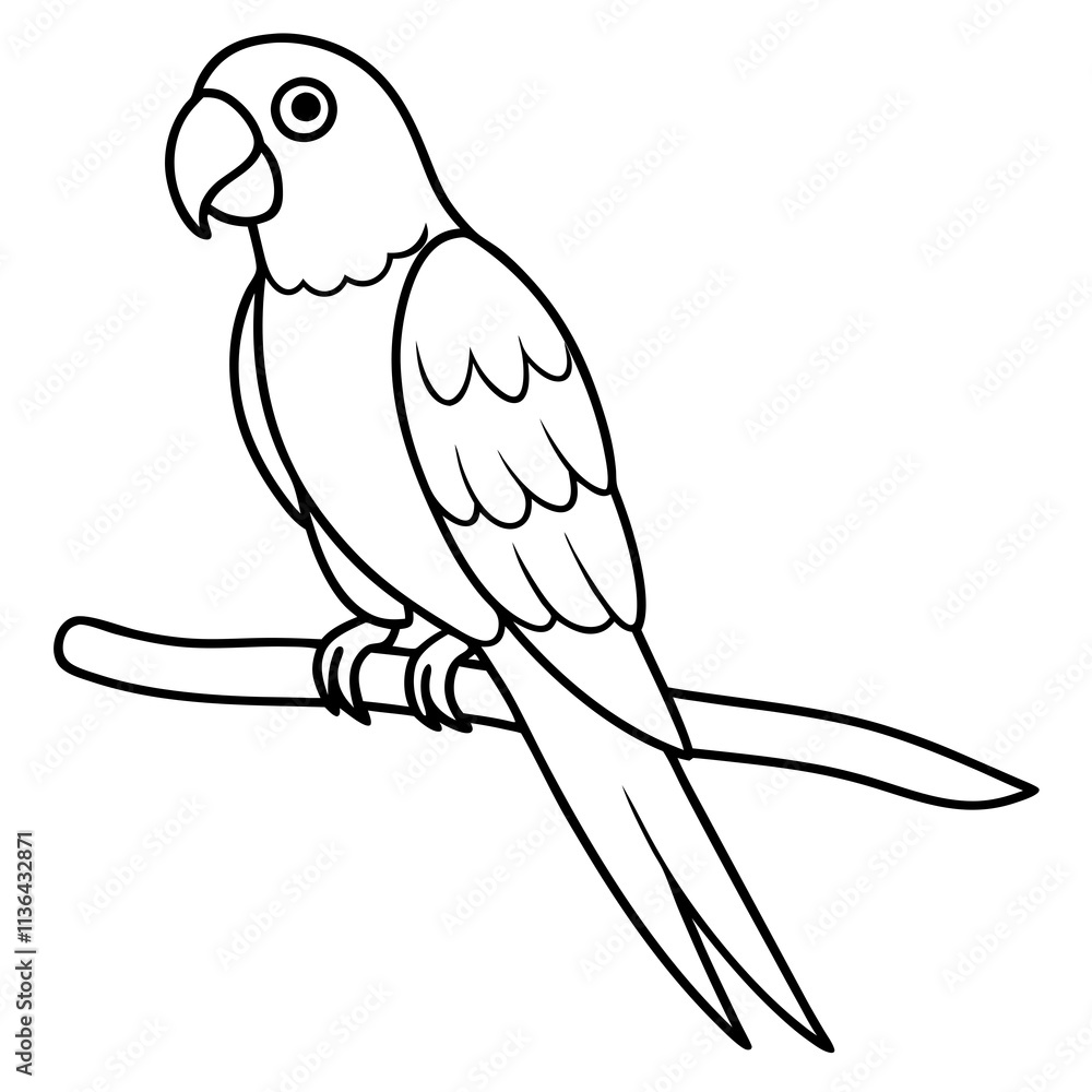 Fototapeta premium parrot on a branch