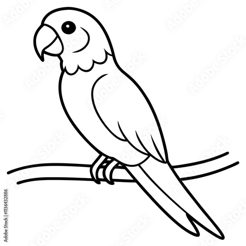 parrot on a branch