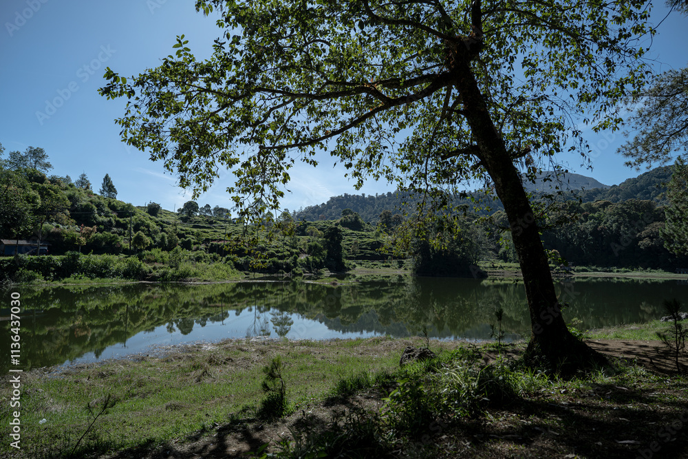 Patenggang Lake View with its reflection and Hill and sky on the Background Patenggang Lake View with its reflection and Hill and sky on the Background