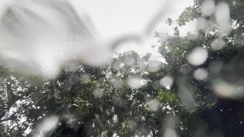 A cinematic view of raindrops from below, offering a fresh angle for ads, entertainment, and art.
Tags: raindrops, water droplets, camera angle, shot from below, cinematic rain, artistic rain, rainy 