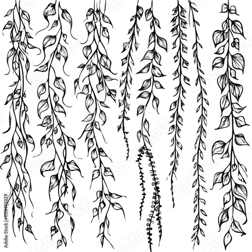 Tropical Vines in doodle style. Vector hand-drawn black line design elements. Climbing plants like vanilla, ivy, and wisteria.
