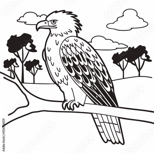 eagle on a branch