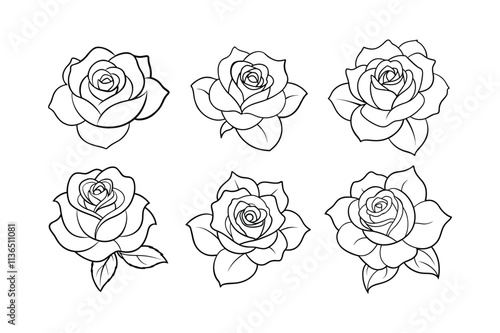 rose flower line art vector illustration