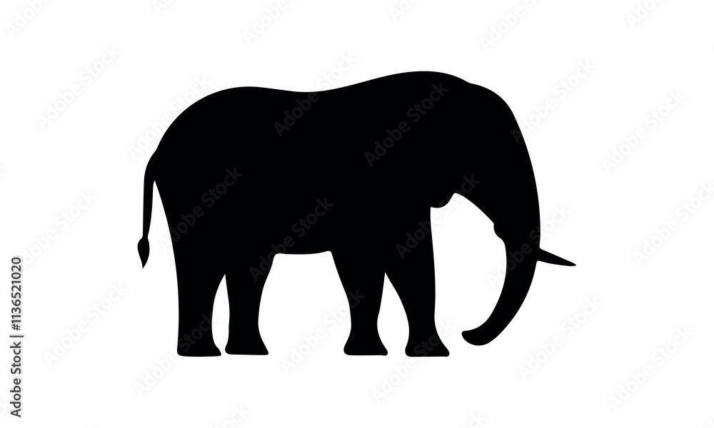 Elephant Silhouette vector illustration set isolated on white background-Elephant Silhouette Silhouette, Files for Cutting Cricut and Silhouette, Isolated on white background, Calligraphy t shirt desi Elephant Silhouette vector illustration set isolated on white background-Elephant Silhouette Silhouette, Files for Cutting Cricut and Silhouette, Isolated on white background, Calligraphy t shirt desi
