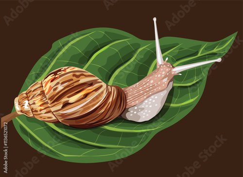 Illustration of a snail on a leaf brown background