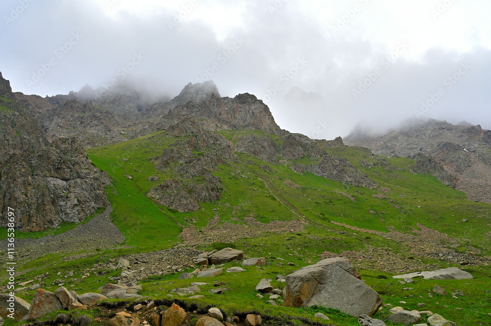 Mountains summer landscapes with fir tree on a foggy day. Almaty - Chimbylak