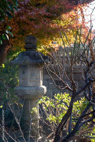 鎌倉2412　本覚寺11　もみじ紅葉 photo