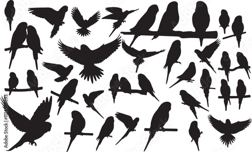 Vector Budgerigar Silhouette Collection
