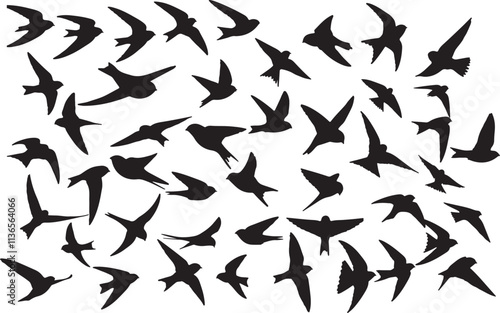 Vector Common Swift Silhouette Collection
