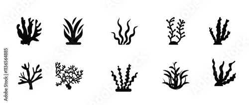 corals glyph icons vector illustration