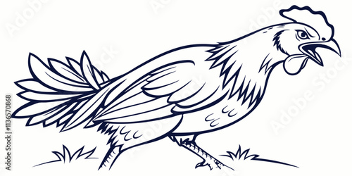 Vector Broiler Chicken Line Art, isolated white background