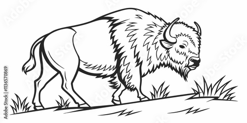 Vestor Buffalo Line Art, isolated white background