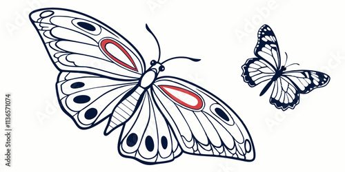 Vector Butterfly Line Art, isolated white background