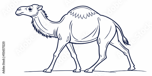 Vector Camel Line Art, isolated white background