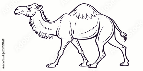 Vector Camel Line Art, isolated white background