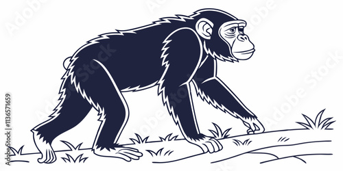 Vector Chimpanzee Line Art, isolated white background