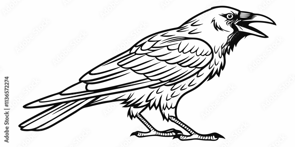 Fototapeta premium Vector Crow Line Art, isolated white background