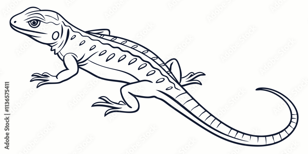 Vector House Lizard Line Art, isolated white background Vector House Lizard Line Art, isolated white background