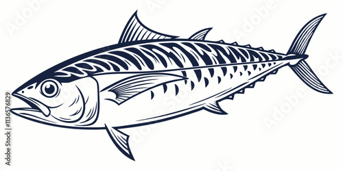 Vector Fish Mackerel Line Art, isolated white background