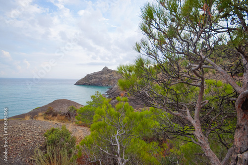 View of Cape Kapchik along the Black Sea coast in Crimea. New World