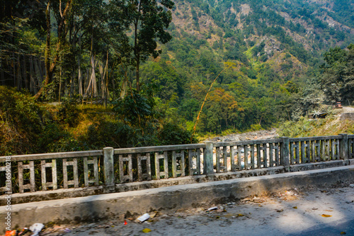 bridge in the forest in gangtok