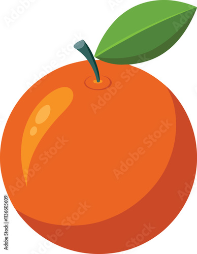 orange fruit vector illustration