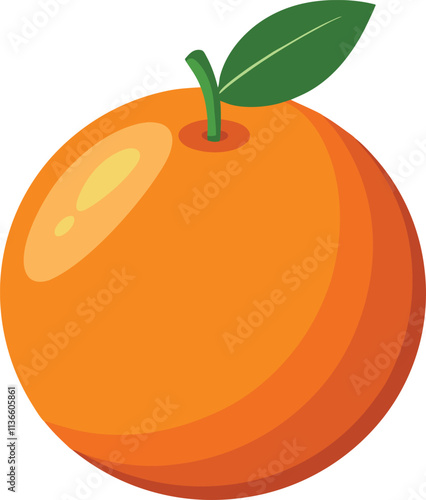 orange fruit vector illustration