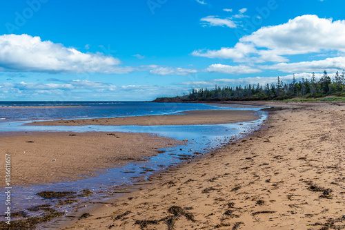 A view along the waters edge beside the Confederation bridge, Prince Edward Island, Canada in the fall