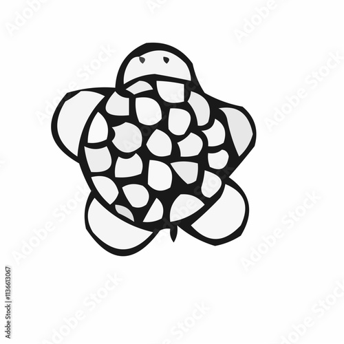 pattern turtle 