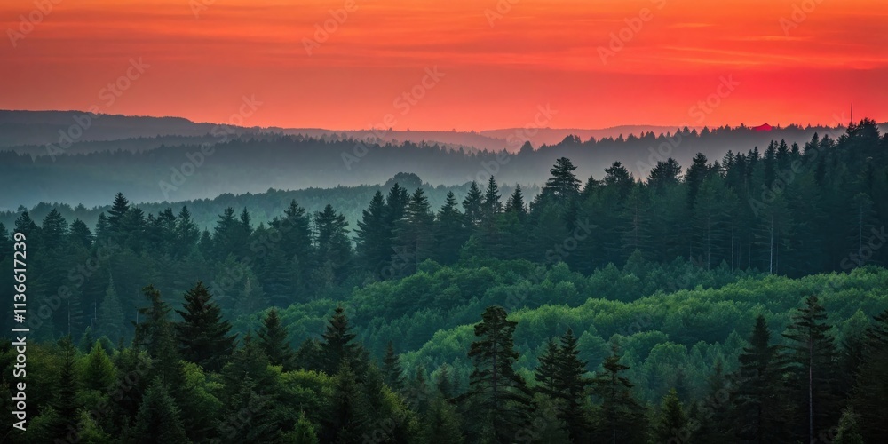 Obraz premium A vibrant sunset casts a fiery glow over a vast, layered forest, with tall evergreen trees silhouetted against the sky, creating a breathtaking scene of natural beauty.