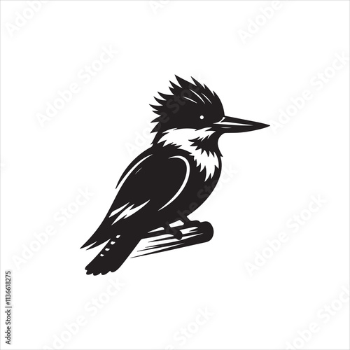 black and white bird