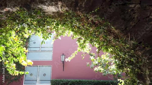Verdant Archway Leading to a Pink Building