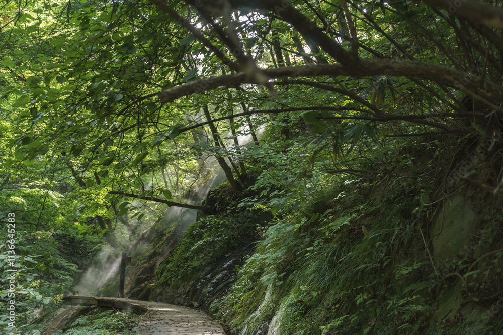Fototapeta premium 鬼首地獄谷遊歩道 Onikobe Jigokudani Promenade