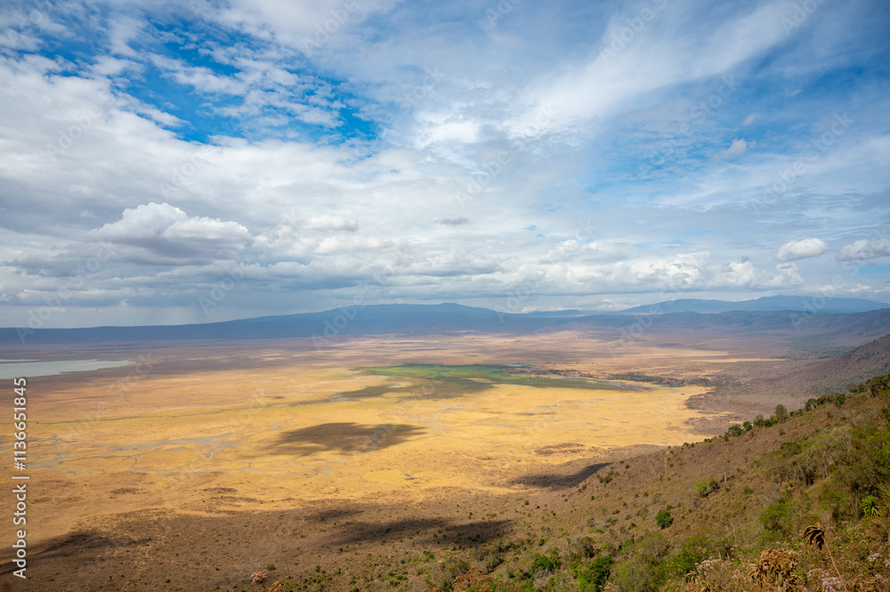 Adventures in the Ngorongoro savannah to see the wilderness life of the hippos Adventures in the Ngorongoro savannah to see the wilderness life of the hippos